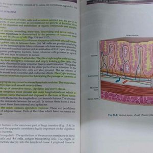 Histology Colour Atlas Of Krishna Garg-5th Edition