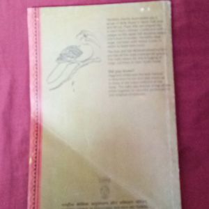 CBSE 11 English Hornbill