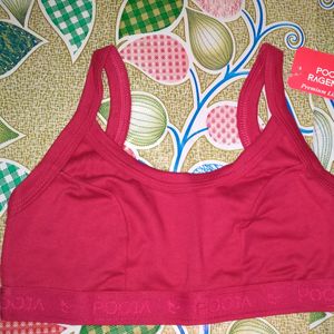 Branded Sports Cotton Bra