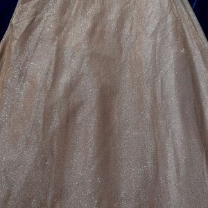 Wedding Designer Long Gown With Duppatta