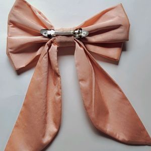 A Cute Bow Clip