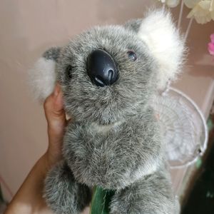 Cute Koala Soft Toy (Imported)🐨♥️