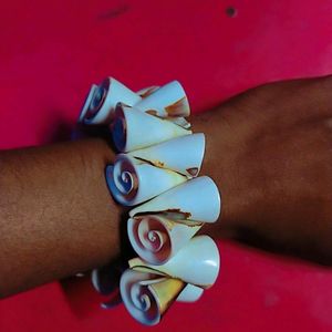 New Conch Shell Bracelet