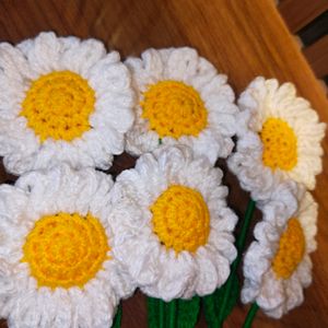 Pack Of 6 Crochet Daisies 🌼