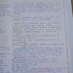 Class 12th CBSE Biology Notes