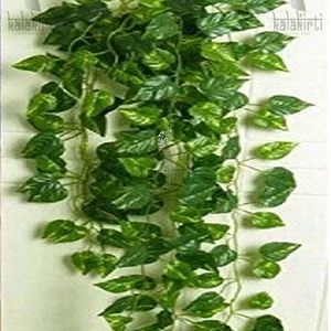 10 Artificial Green Maple Money Creeper Leaves