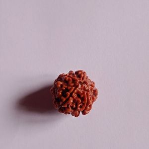 RUDRAKSHA DIKSHA KIT