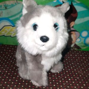 Husky 🐕 Dog Plush