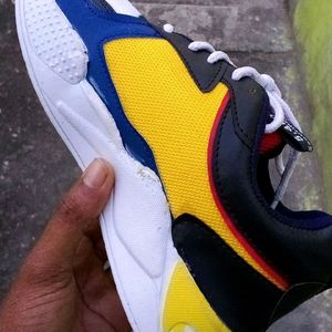 Stylish Multicolor Shoe For Men
