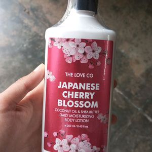 The Love Co - Japanese Cherry Blossom