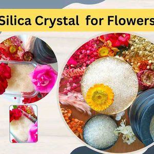 Silica Crystal For Flower Drying 250gm