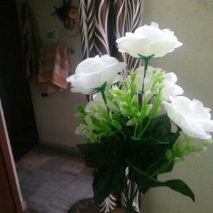 Bunch Of White Rose