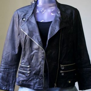 Sheepskin Leather Jacket