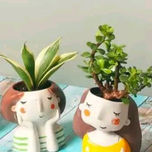 Combo Set Of 2 Girl Head  Planter For Succulent