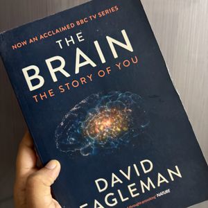 The Brain By David Eagleman