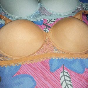 Combo Pack Of 2 Paded Bra