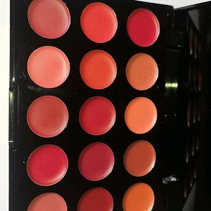 Ocean Beauty 15 Color Lipistick Palette Brand New