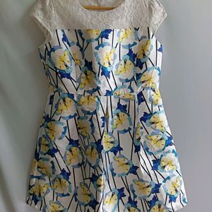 Vintage Roses Print Mini Dress