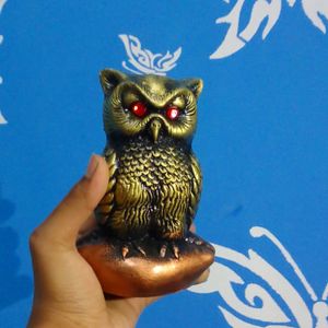 New Fancy Owl 🦉 only 200