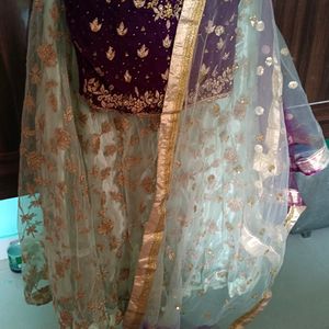 Beautiful Pastel Green Lehnga With Wine Blouse