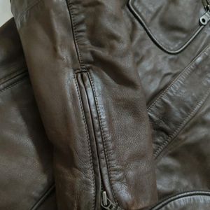 Woodland Men's Brown Pure Leather Jacket