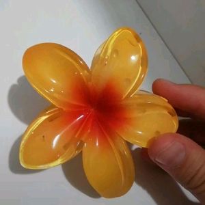 Summer Acthetics Flower Claws🌺