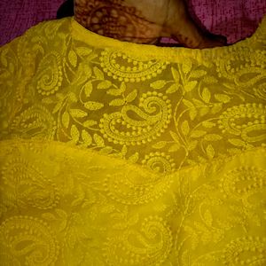 New chikankari Top