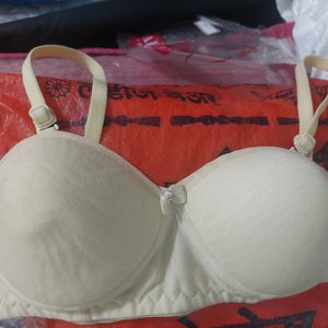 Padded Bra (Not Use Before)totally New .