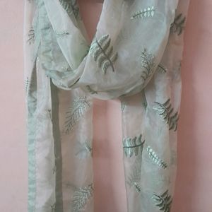 Organza Leaf Embroidered Dupatta