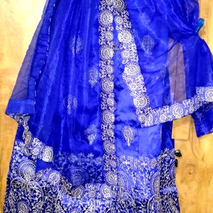 Brand New Ethnic Wear Lehenga Choli Set