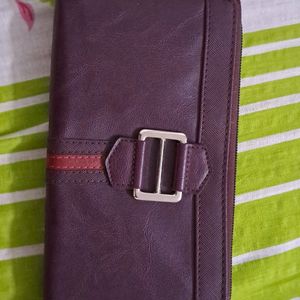 Baggit Brown & Mini Grey Wallet