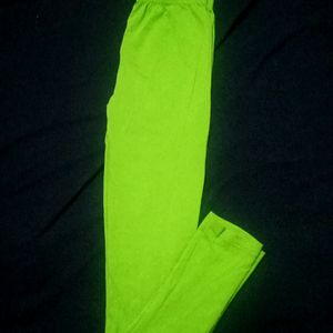 Light Green Leggings