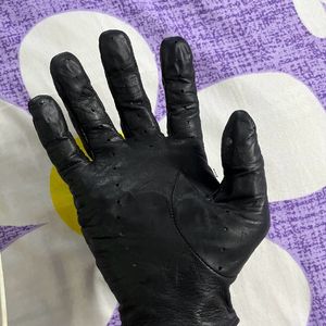 Pure Leather Gloves