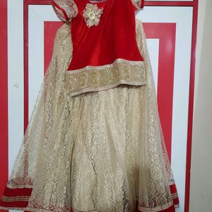 Girl's Net Stitched Lehenga Choli