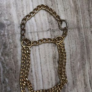 Dog Fancy Choke Chain Collar