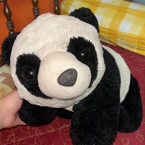 A Medium Size Panda