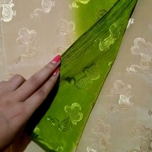 Lime Green Saree💚