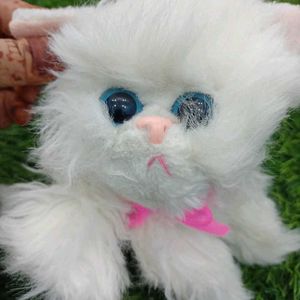 Cat Cuite Soft Toy