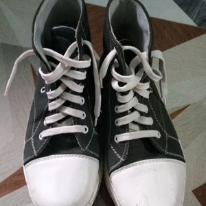 Converse Like Shoe