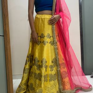 Lehenga Crop top