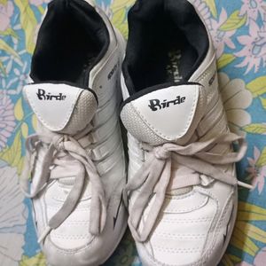 Birde Sport Shoes