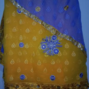 Blue and Purple Saree