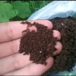 Primume Quality Vermicompost Pack Of 5 Kg 🌻