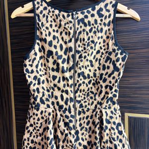 Peplum Leopard Print Top