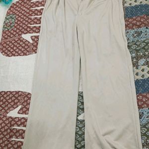 Beige Formal Trouser