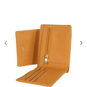 Baggit Wallet