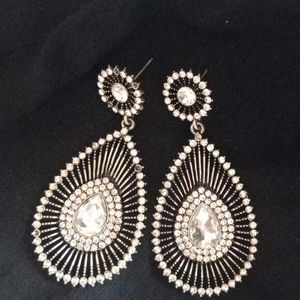 An Elegent Earring