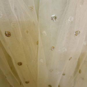 Beige Dupatta