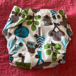 Cloth Reusable Diaper - Bumberry