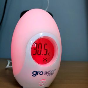 Groegg Thermometer